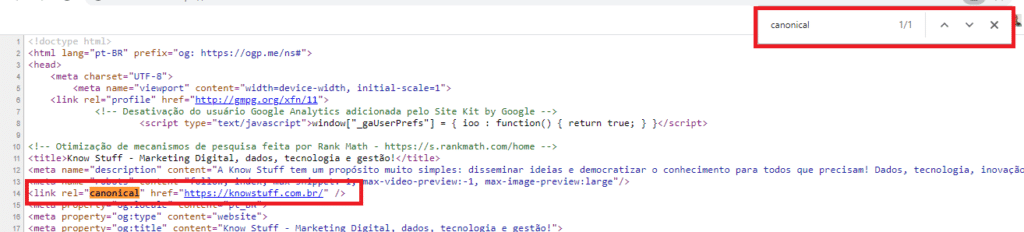 Checando a canonical tag manualmente na home da Know Stuff