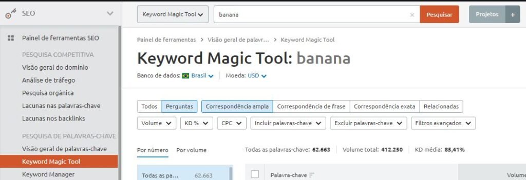Perguntas Feature Snippets pela Kwyword Magic Tool