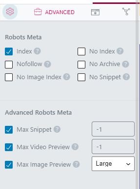 Print de uma seção do plugin rank math SEO, com várias opções em checkboxes para a meta robots tag