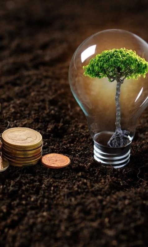 Árvore dentro de lâmpada encima de terra, ao lado de moedas empilhadas