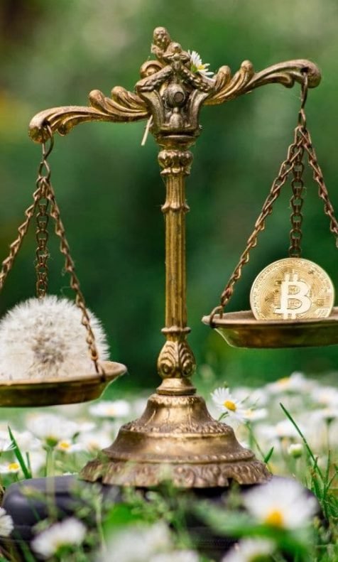 Balança com Bitcoin de um lado e flor Dente-de-leão do outro