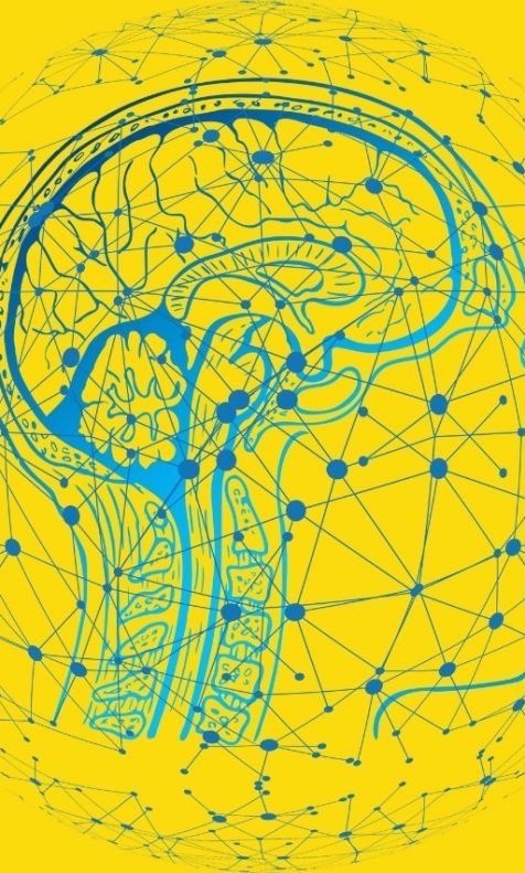 Cérebro tecnológico com várias conexões