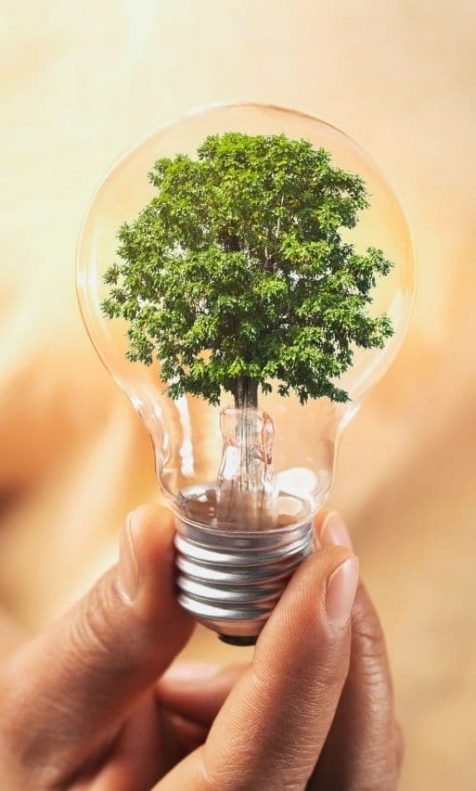 Mão segurando uma lâmpada com pequena árvore em seu interior